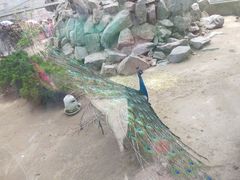 -水绘园