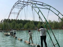 -东方巨龟苑景区