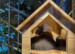 -酷嗒动物文化乐园(cutezoo西溪乐天城店)