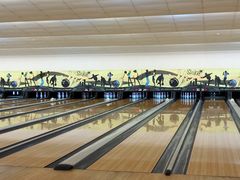 -广州保龄球馆(广州天河体育中心店)