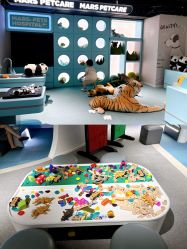 -MINI MARS KIDS CLUB亲子家庭中心(长宁天山店)