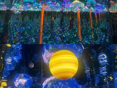 -深圳独角兽星空艺术馆