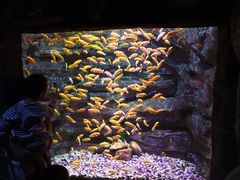 -多彩贵州城极地海洋世界