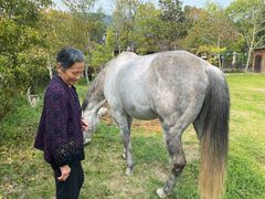 -苏州环秀晓筑养生度假村