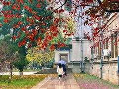 -山东师范大学(千佛山校区)