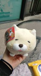 -嗨翻Hi-Fun竞技主题乐园·蹦床团建生日聚会(五棵松华熙店)