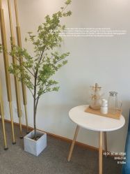 -Doris多里斯半永久纹眉·SMP纹发·发际线