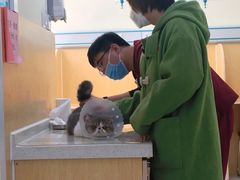 -美联众合动物医院·24h京西诊疗中心