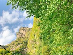 -王顺山国家森林公园