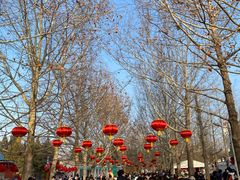 -朝阳公园游乐园