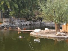 动物园-北京市海淀外国语实验学校