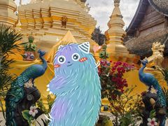 -西双版纳傣族园