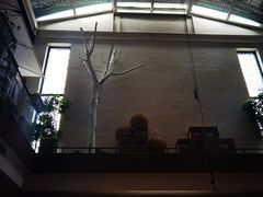 -苹果树下艺术餐厅(通州店)