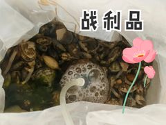 -东戴河风景区-止锚湾
