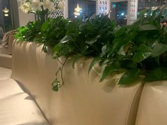 -衡山汇·高级粤菜(霄云路店)