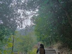 -广州白江湖森林公园