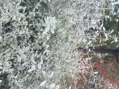 android_upload_pic-新江湾城公园