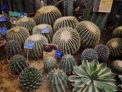 -国家植物园南园