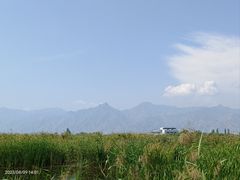 -哈素海