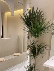 点击看大图 -Garden花園造型