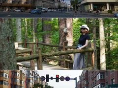 -汤旺河林海奇石景区