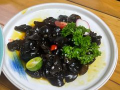 -张鸟园农家乐(张鸟园店)