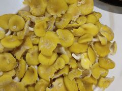 -朴小妹人参鸡汤火锅(长白山万达店)