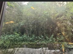 -山水一号·中餐厅