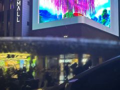 -极动室内恒温游泳馆