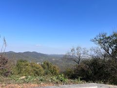 -TREK崔克自行车(碧云店)