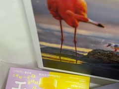 -好利来(内双楠店)