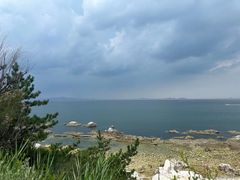 -养马岛旅游度假区