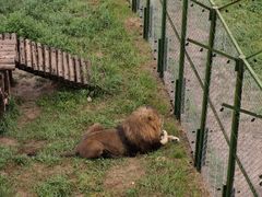 -青藏高原野生动物园