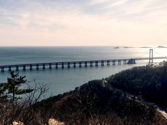 -星海湾跨海大桥