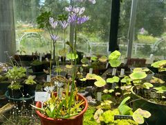 -国家植物园南园