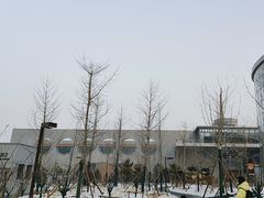 -回龙观体育文化公园