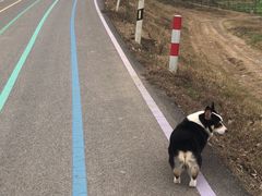-可蒙动物医院·猫科·骨科中心(首义路店)