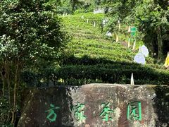 -姑婆山旅游区