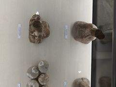 -古陶文明博物馆