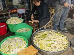 -尚田草莓姑娘白草莓采摘基地