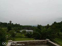 -张坝桂圆林公园