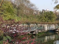 -重庆彩云湖湿地公园