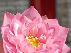 -西安市广仁寺