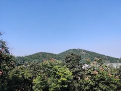 -北岭山森林公园