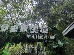 -野象谷景区