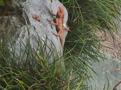 -东莞植物园