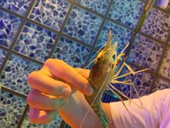 -钳真多钓虾馆·小龙虾海鲜烧烤(九六广场店)