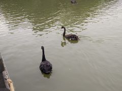 -艾溪湖湿地公园