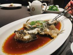 -望乡楼上海菜(日月光店)