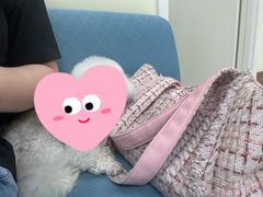 -美联众合动物医院·24h京西诊疗中心